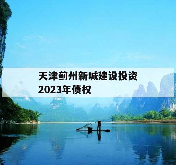 天津蓟州新城建设投资2023年债权 天津蓟州新城建设投资2023年债权