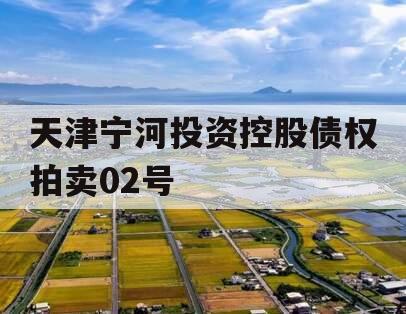 天津宁河投资控股债权拍卖02号 天津宁河投资控股债权拍卖02号