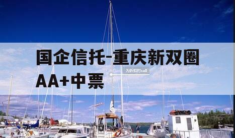 国企信托-重庆新双圈AA+中票