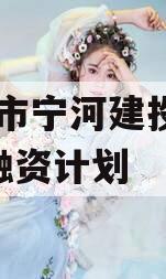 天津市宁河建投2023年融资计划