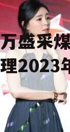 重庆市万盛采煤沉陷区综合治理2023年债权资产
