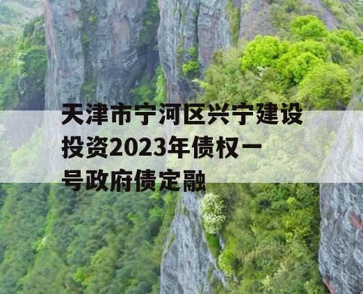 天津市宁河区兴宁建设投资2023年债权一号政府债定融