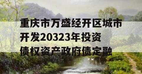 重庆市万盛经开区城市开发20323年投资债权资产政府债定融