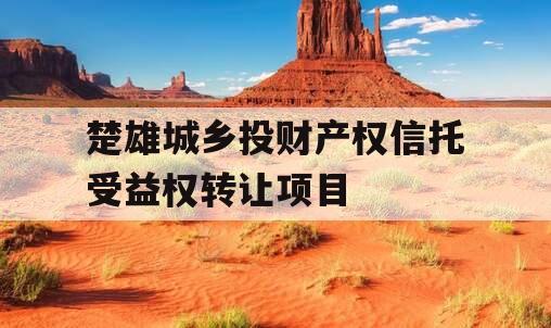 楚雄城乡投财产权信托受益权转让项目