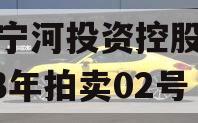天津宁河投资控股债权2023年拍卖02号 天津宁河投资控股债权2023年拍卖02号