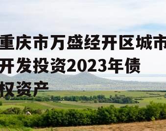 重庆市万盛经开区城市开发投资2023年债权资产