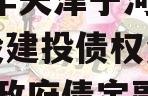 2023年天津宁河兴宁建设建投债权资产转让1期政府债定融 2023年天津宁河兴宁建设建投债权资产转让1期政府债定融