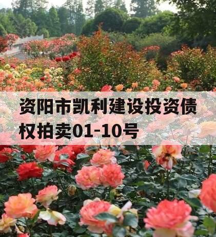 资阳市凯利建设投资债权拍卖01-10号