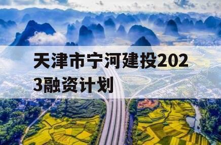 天津市宁河建投2023融资计划