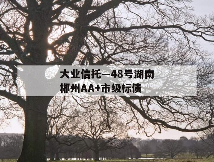 大业信托—48号湖南郴州AA+市级标债