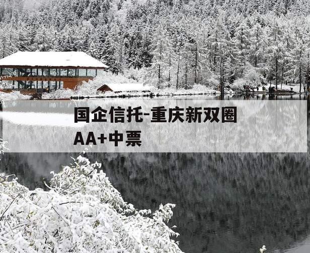 国企信托-重庆新双圈AA+中票