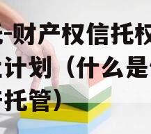 信托-财产权信托权益转让计划（什么是信托财产托管）