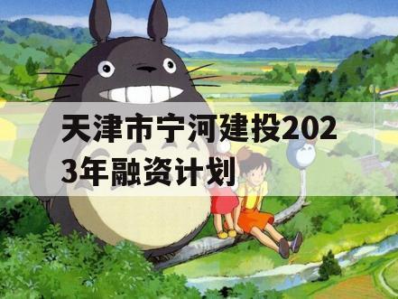 天津市宁河建投2023年融资计划