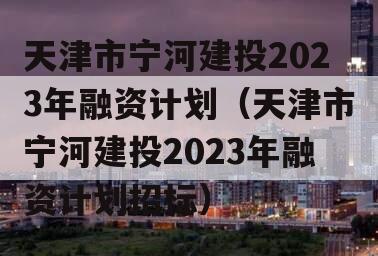 天津市宁河建投2023年融资计划（天津市宁河建投2023年融资计划招标）