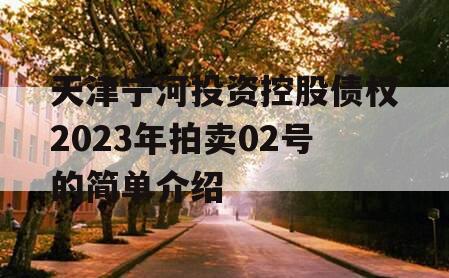 天津宁河投资控股债权2023年拍卖02号的简单介绍