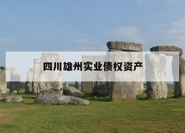 四川雄州实业债权资产 四川雄州实业债权资产