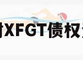 开封XFGT债权资产