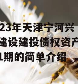 2023年天津宁河兴宁建设建投债权资产转让1期的简单介绍