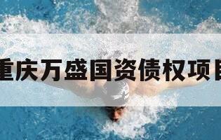 重庆万盛国资债权项目