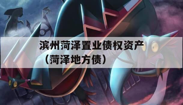 滨州菏泽置业债权资产（菏泽地方债）