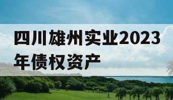 四川雄州实业2023年债权资产