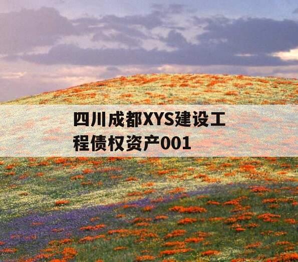 四川成都XYS建设工程债权资产001 四川成都XYS建设工程债权资产001