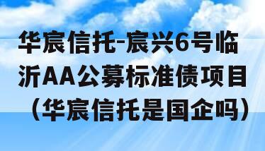 华宸信托-宸兴6号临沂AA公募标准债项目（华宸信托是国企吗）