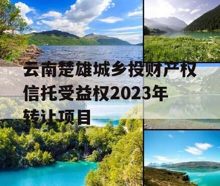 云南楚雄城乡投财产权信托受益权2023年转让项目 云南楚雄城乡投财产权信托受益权2023年转让项目