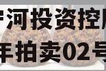 天津宁河投资控股债权2023年拍卖02号