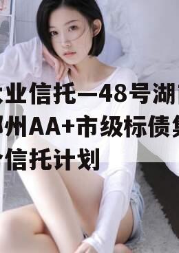 大业信托—48号湖南郴州AA+市级标债集合信托计划 大业信托—48号湖南郴州AA+市级标债集合信托计划