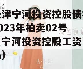 天津宁河投资控股债权2023年拍卖02号（宁河投资控股工资高吗）
