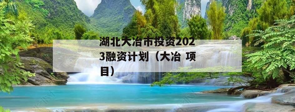 湖北大冶市投资2023融资计划（大冶 项目）