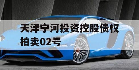 天津宁河投资控股债权拍卖02号 天津宁河投资控股债权拍卖02号