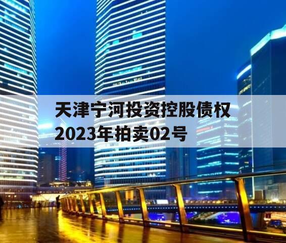 天津宁河投资控股债权2023年拍卖02号