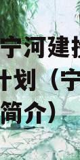 天津市宁河建投2023融资计划（宁河区宁投集团简介）