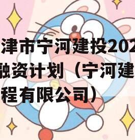 天津市宁河建投2023融资计划（宁河建筑工程有限公司）