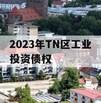 2023年TN区工业投资债权