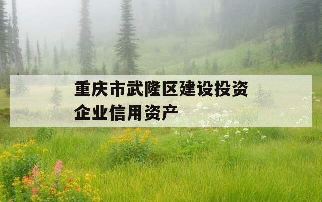 重庆市武隆区建设投资企业信用资产
