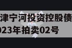 天津宁河投资控股债权2023年拍卖02号
