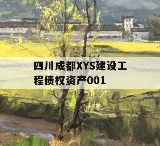 四川成都XYS建设工程债权资产001