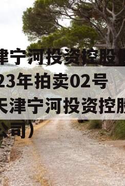天津宁河投资控股债权2023年拍卖02号（天津宁河投资控股有限公司）