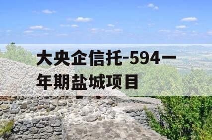 大央企信托-594一年期盐城项目