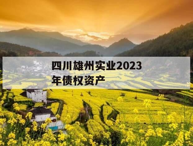 四川雄州实业2023年债权资产