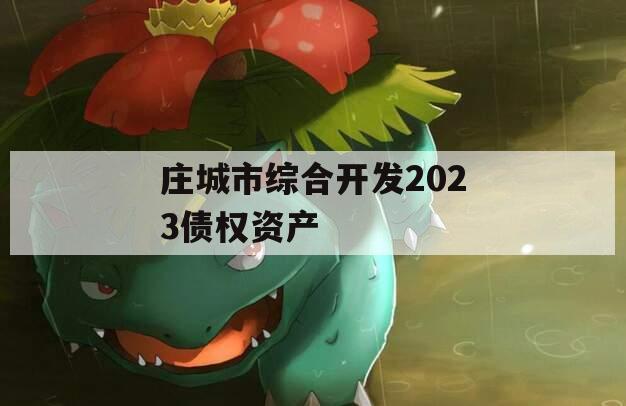 庄城市综合开发2023债权资产