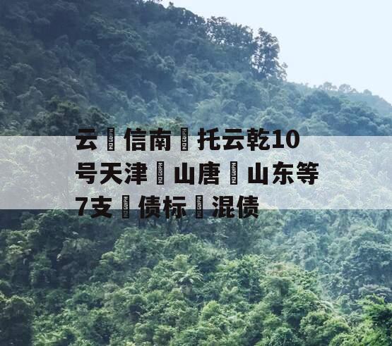 云‮信南‬托云乾10号天津‮山唐‬山东等7支‮债标‬混债