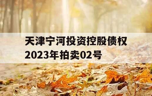 天津宁河投资控股债权2023年拍卖02号 天津宁河投资控股债权2023年拍卖02号