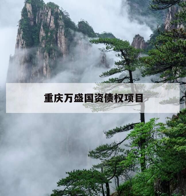 重庆万盛国资债权项目