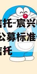 华宸信托-宸兴6号临沂AA公募标准债项目集合信托 华宸信托-宸兴6号临沂AA公募标准债项目集合信托