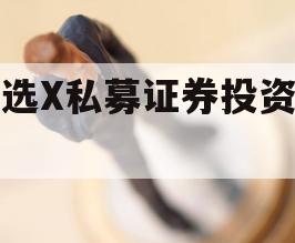 智选X私募证券投资基金
