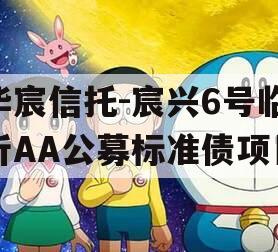 华宸信托-宸兴6号临沂AA公募标准债项目